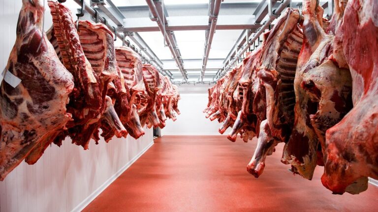 El Gobierno distribuyó el cupo de exportación de carne vacuna a EEUU para 2025