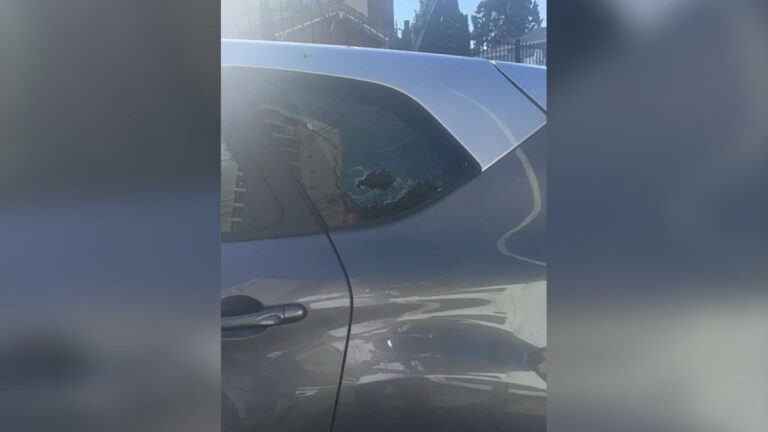 Ciudad Jardín del Palomar: un excomisario abatió a un delincuente en un intento de robo