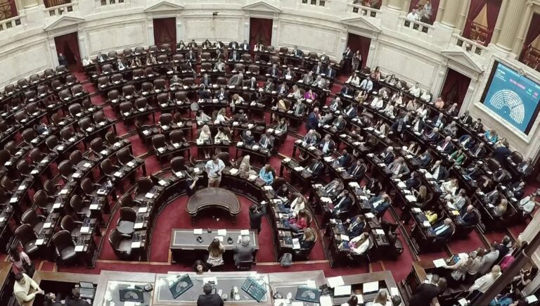 Sesión especial en Diputados para tratar el DNU de Milei que pacta una nueva entrega al FMI