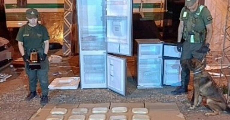 Simulaba una mudanza para transportar droga: gendarmería le encontró más de 10 kilos de cocaína