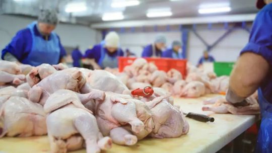 Aumenta el precio y el consumo de pollo pero sigue siendo más barato que la carne