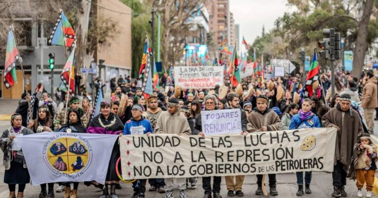 Neuquén. Multitudinaria movilización en apoyo al pueblo mapuche