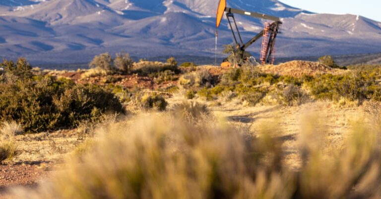 El Gobierno apuesta al RIGI para atraer dólares: los siete proyectos confirmados por US$ 13.000 millones y las inversiones en análisis