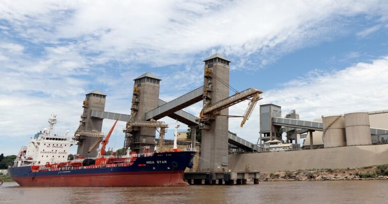 China acelera la compra de soja argentina tras la baja de retenciones que impulsó Javier Milei