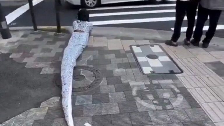 El video de un therian serpiente arrastrándose por las calles de Japón que se hizo viral