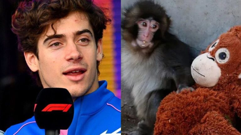 La inesperada confesión de Franco Colapinto sobre el monito viral «Punch» que sorprendió a sus fans