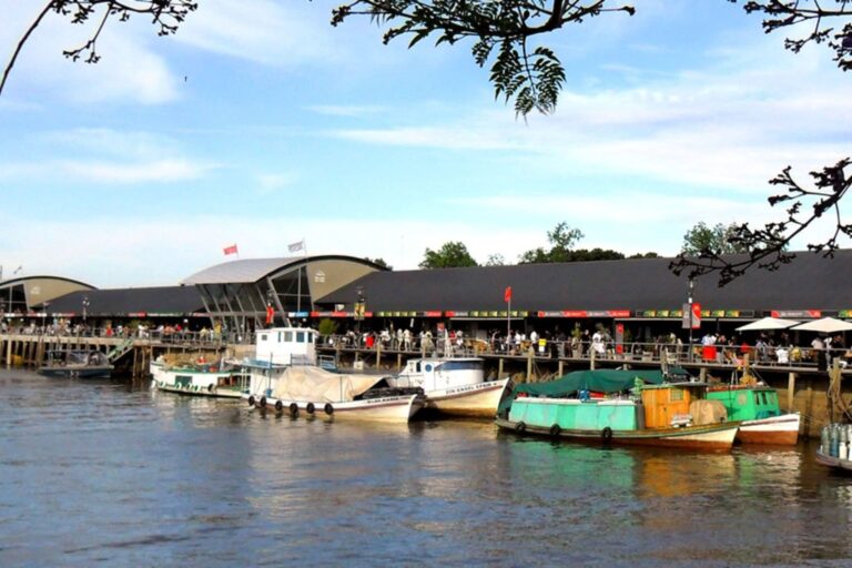 Más allá de los clásicos: una guía imperdible de planes para redescubrir Tigre en un fin de semana