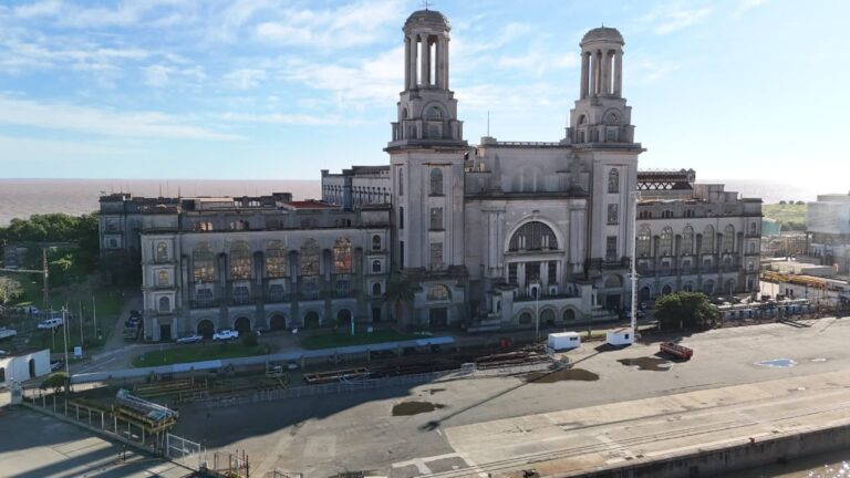 Mapa ilustrativo de la cuenca neuquina con destaque en la zona de Vaca Muerta, donde Central Puerto adquirió nuevos activos.