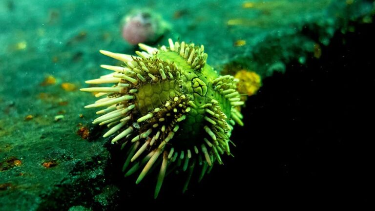 Investigadora trabajando en un laboratorio científico