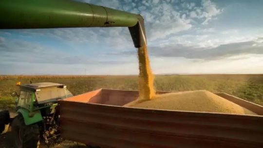 Productor agropecuario Pedro Vigneau en entrevista sobre ley de semillas en Argentina