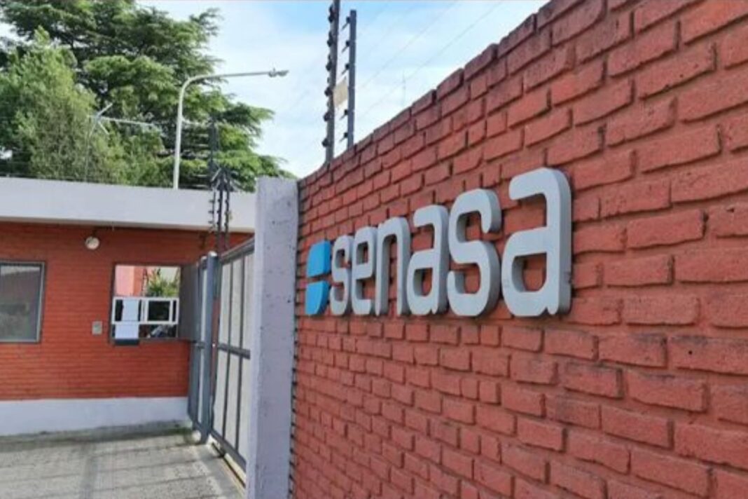 Ovejas en un campo. Ilustración referida a la producción ovina en Argentina.