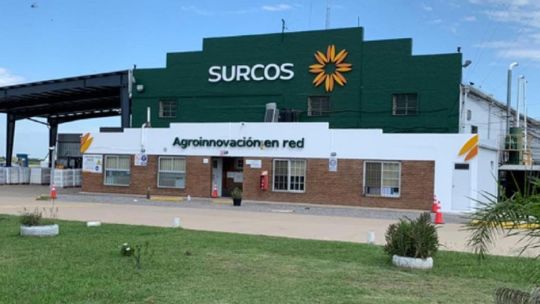 Mapa conceptual del holding Surcos S.A. con ramificaciones internacionales