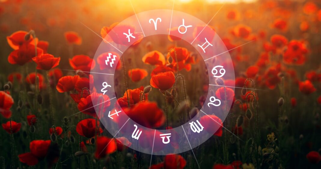 Ilustración simbólica del planeta Venus y el signo zodiacal de Géminis