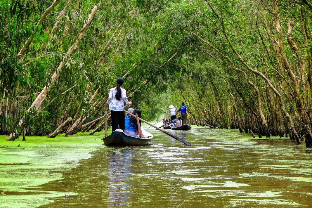 Paisaje del delta del Mekong con arrozales y palmeras