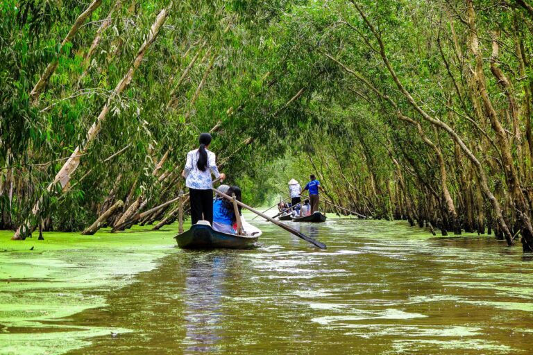 Paisaje del delta del Mekong con arrozales y palmeras