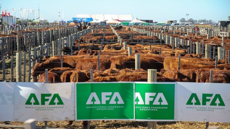 Vista general del sector ganadero de Agroactiva con corrales y animales