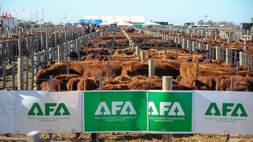 Vista general del sector ganadero de Agroactiva con corrales y animales
