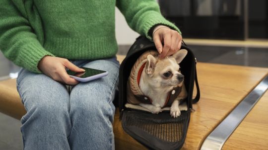 Persona usando Cuenta DNI en una veterinaria con descuento del Banco Provincia
