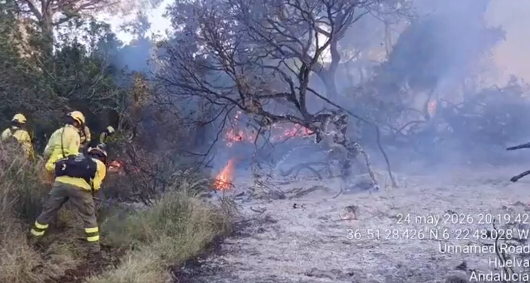 Bomberos forestales trabajan durante la noche en el incendio del paraje La Algaida, en el Parque Natural de Doñana