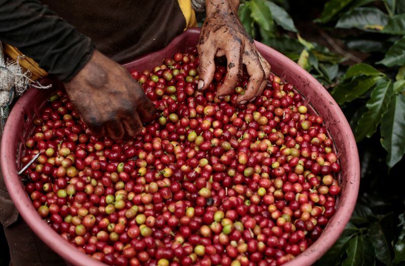 Nueva planta de Café Britt en Grecia, Alajuela