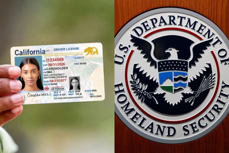 Fotografía de una licencia de conducir de California junto a un sello del DHS