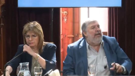 Senadores José Mayans y Patricia Bullrich durante un debate en el recinto del Senado argentino