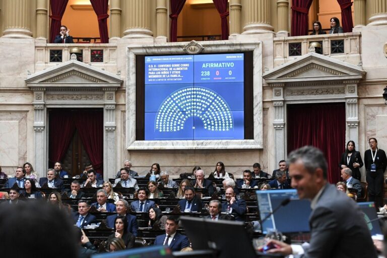 Sesión en la Cámara de Diputados durante la votación del proyecto de Zonas Frías