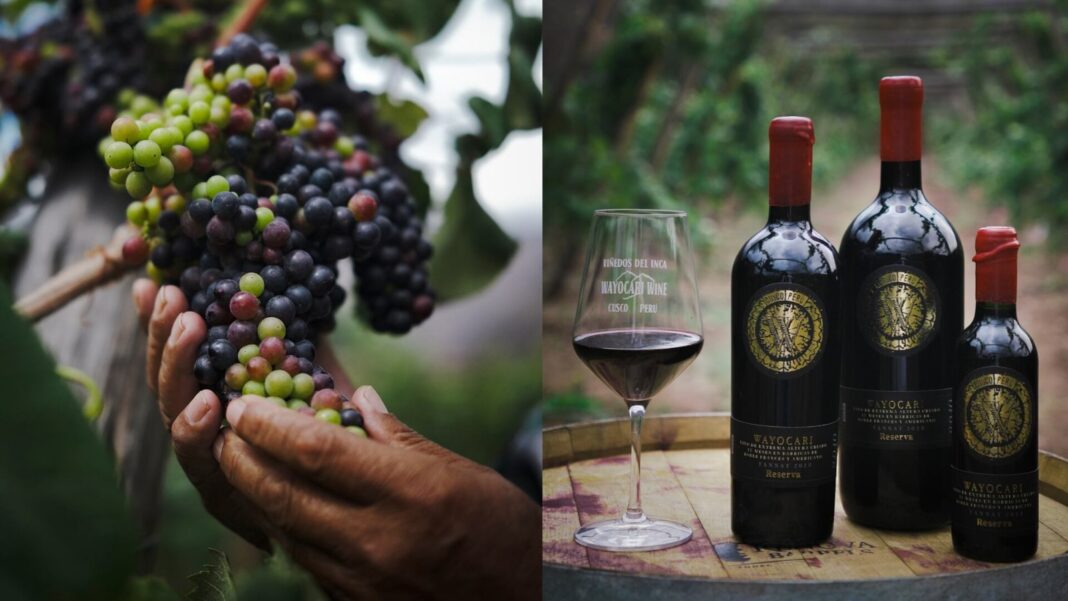 Botella de vino Wayocari Tannat Reserve 2023 producido en Urubamba, Cusco