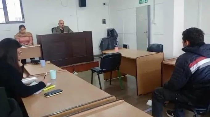 Imagen ilustrativa de un perro en un contexto judicial