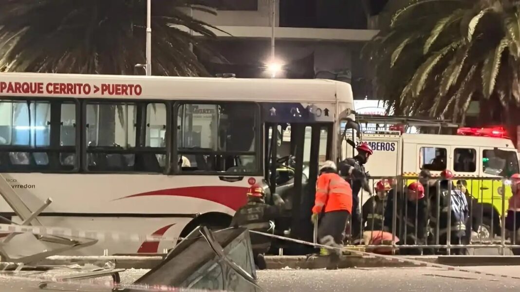 Colectivo de la línea 532 en Mar del Plata