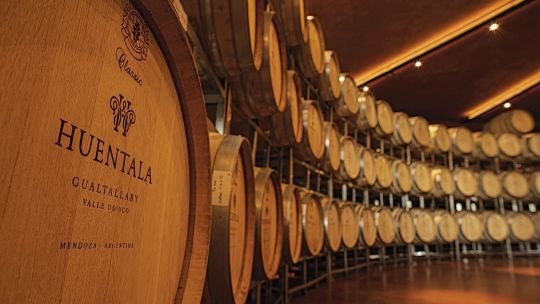 Botellas de vino Huentala Wines con medallas de premiación