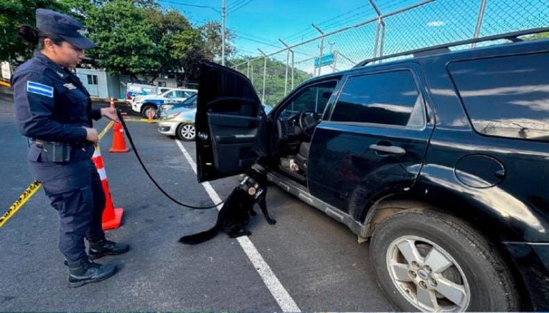 Agentes de la PNC con binomio canino durante operativo en El Salvador