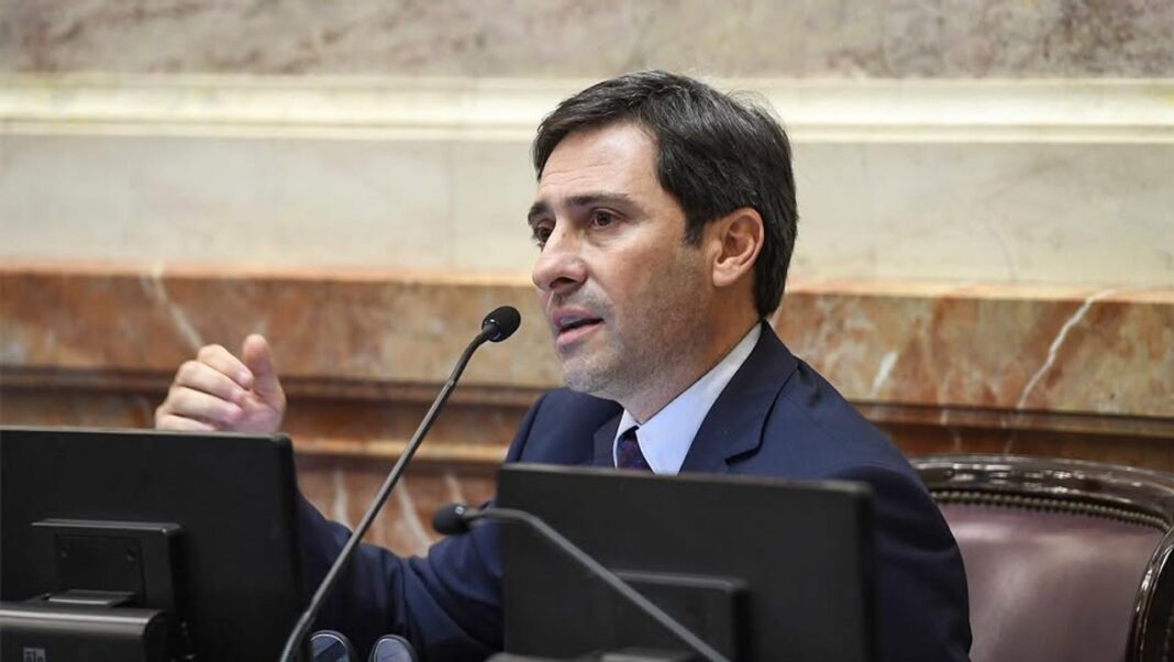 Martín Goerling, jefe del bloque PRO en el Senado