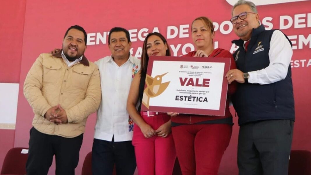 Persona registrándose en línea en el programa Apoyo al Autoempleo para el Bienestar Edomex