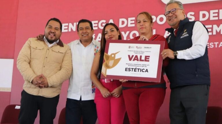 Persona registrándose en línea en el programa Apoyo al Autoempleo para el Bienestar Edomex