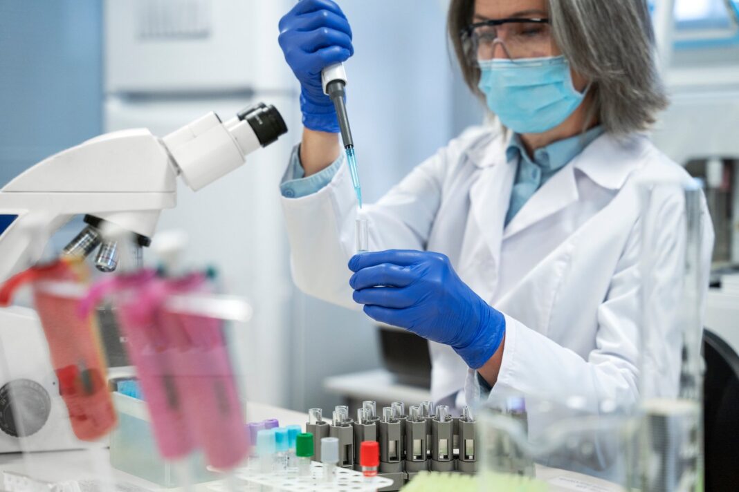 Microscopio con bacterias Bifidobacterium longum modificadas genéticamente