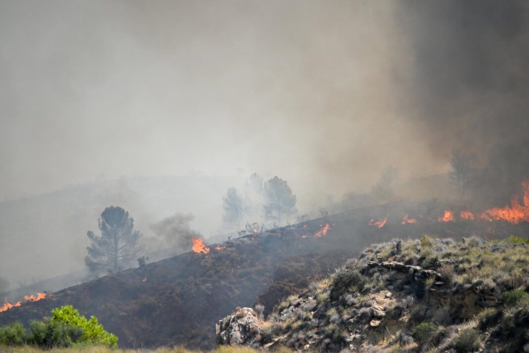 Bombero forestal junto a un vehículo en un incendio