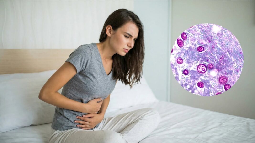 Microscopía del parásito Cyclospora cayetanensis causante de ciclosporiasis