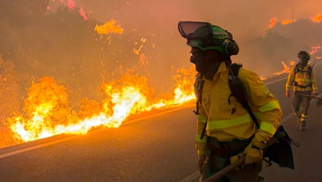Imagen del incendio forestal en Los Gallardos, Almería, España