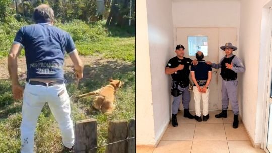 Perra de tamaño mediano y pelaje marrón claro en un terreno, rescatada por la Policía en Pampa del Indio