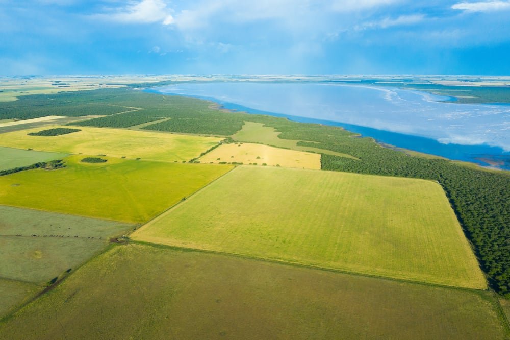 Mapa de Argentina con zonas de producción agrícola y ubicación de puertos de Gran Rosario, Bahía Blanca y Quequén