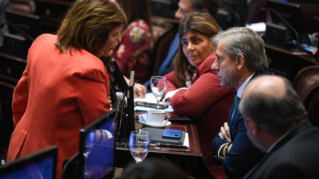 Patricia Bullrich en el Senado