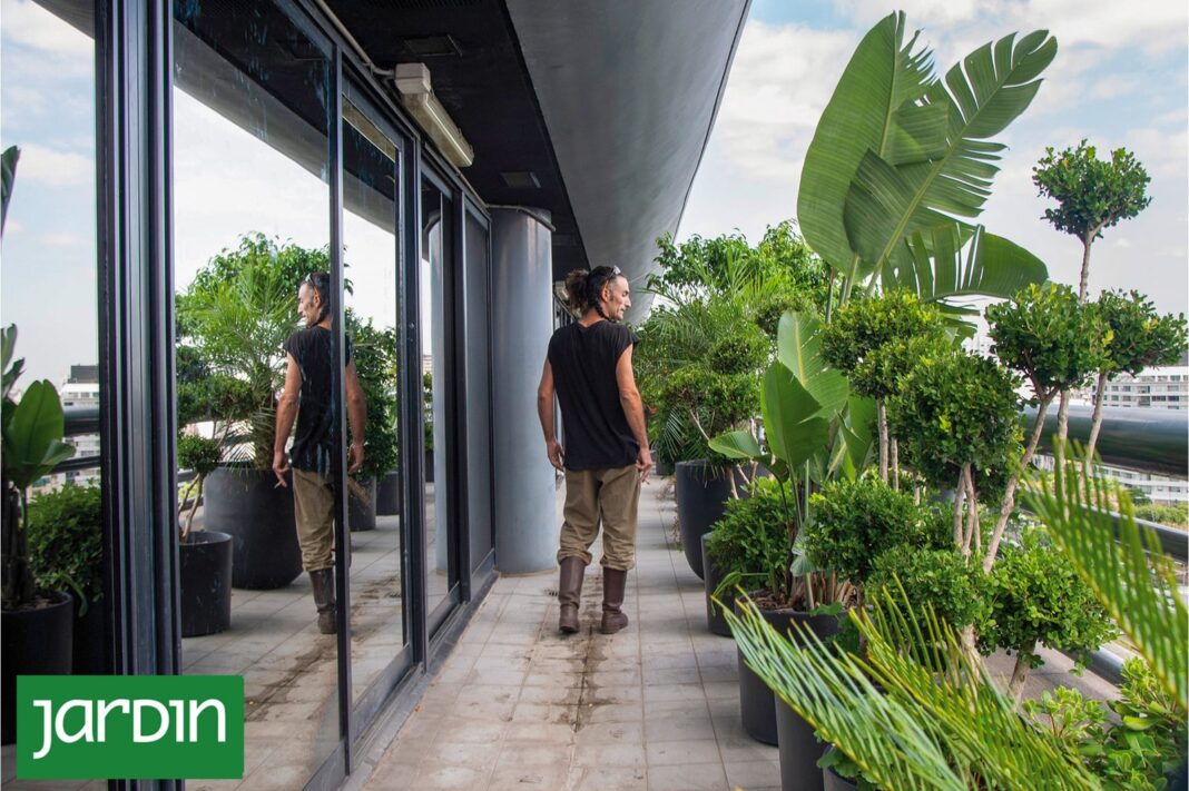 Jardín pequeño con plantas de colores claros y gramíneas ornamentales que generan sensación de amplitud