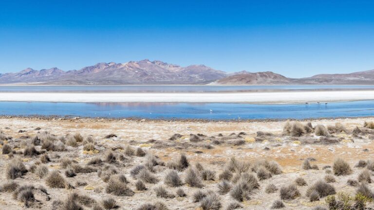 Mapa del clima en Arequipa con temperaturas y probabilidad de lluvia