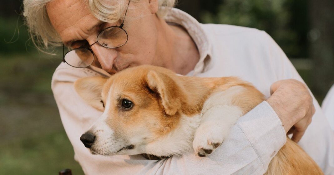 Persona acariciando a un gato y a un perro en un hogar