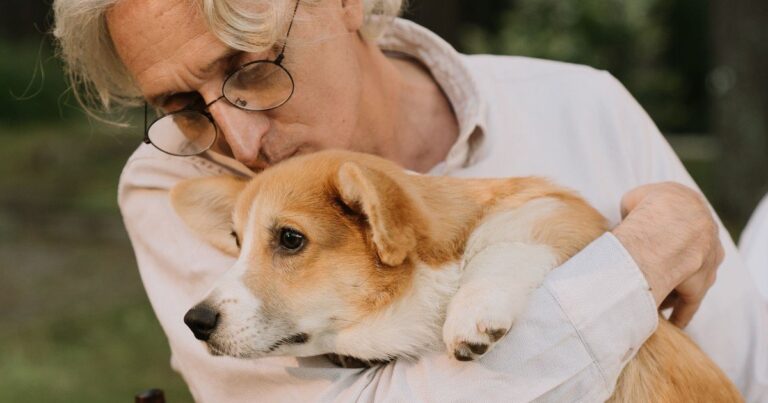 Persona acariciando a un gato y a un perro en un hogar