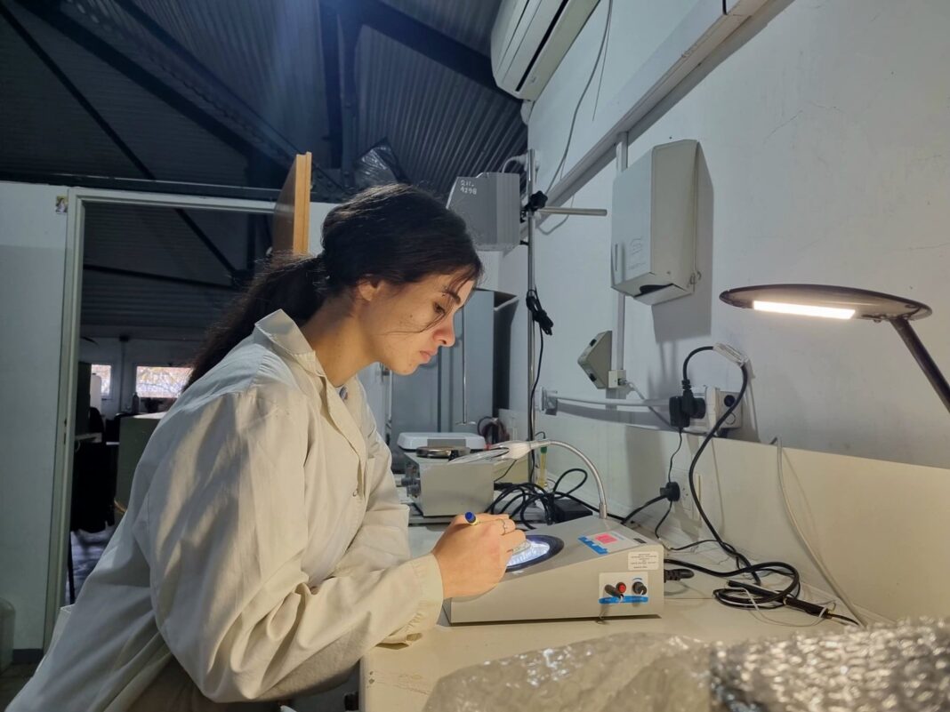 Investigación en laboratorio sobre bacterias y hongos Fusarium