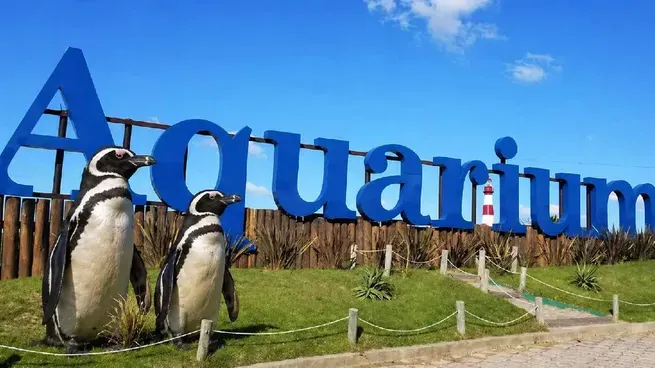 Pingüinos en el Aquarium de Mar del Plata