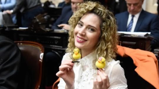 Lourdes Arrieta, diputada nacional, en el Congreso