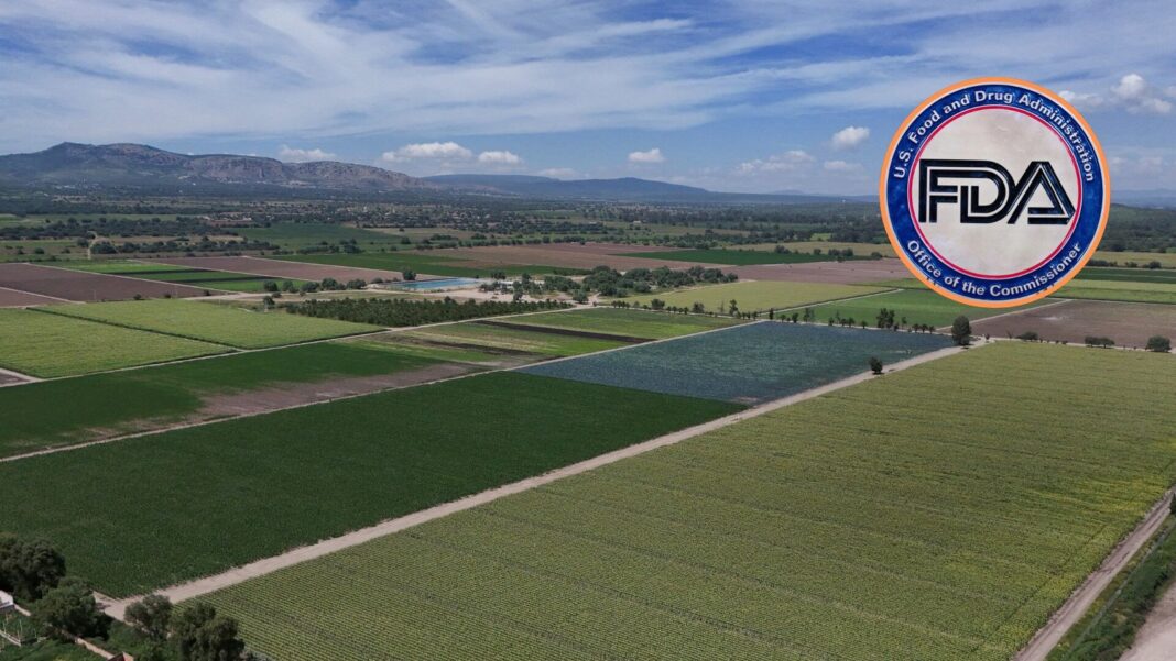 Planta de procesamiento de alimentos de Taylor Farms en México